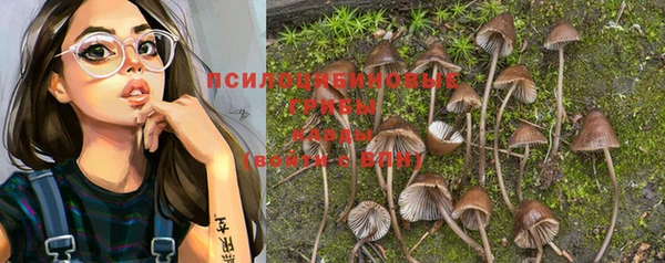 спайс Алзамай