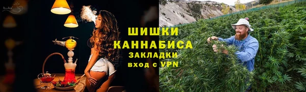 спайс Алзамай