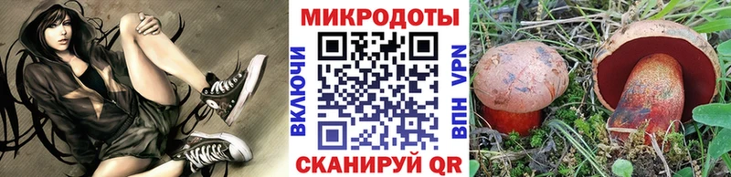 Галлюциногенные грибы прущие грибы  Пошехонье 